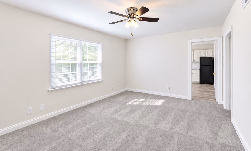 BW LR carpet